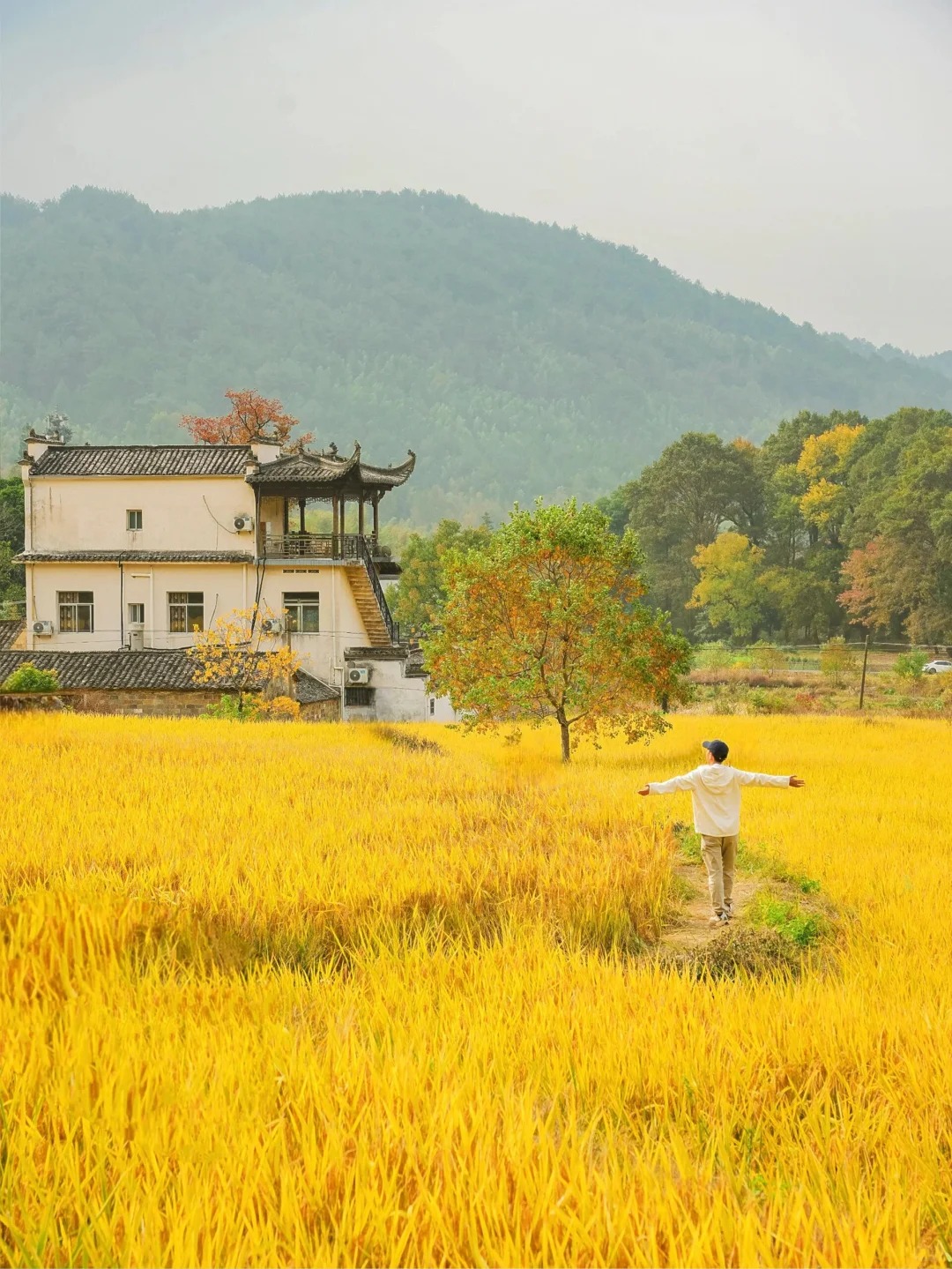 《国家地理》没骗我😭国庆去皖南赏秋真美绝了_3_旅行定制师-KK_徽州-赏秋-国庆特辑-来自52tours 我爱旅游网